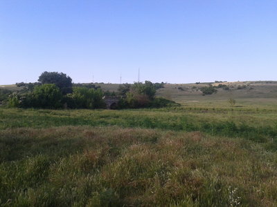 2017-06-03 07.59.12.jpg