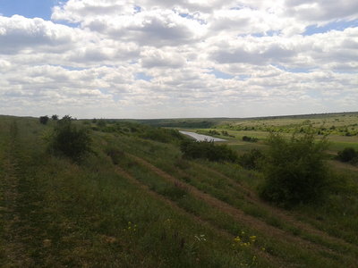 2017-06-03 12.09.54.jpg