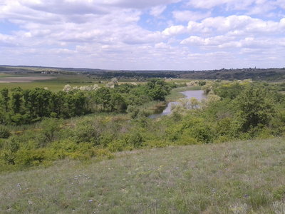 2017-06-03 13.48.45.jpg