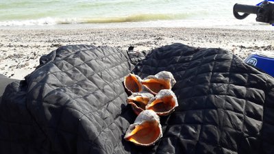 20170308_141210.jpg