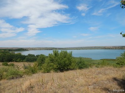 DSCN2191.jpg
