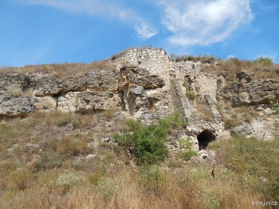 DSCN2209.jpg