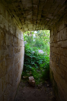 DSC_0087.JPG