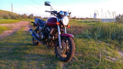 DSC_8656.JPG.jpg