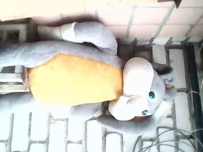 IMG0037A.jpg