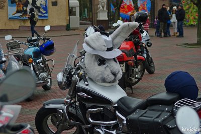 IMGP3117.jpg