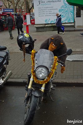 IMGP3133.jpg