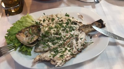 IMG_0872.JPG