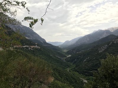 IMG_1037.jpg
