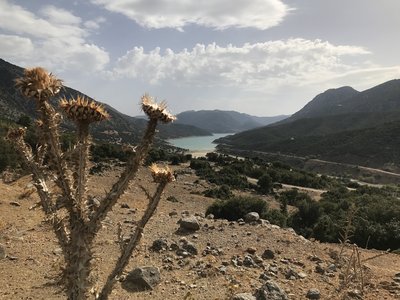 IMG_1066.JPG