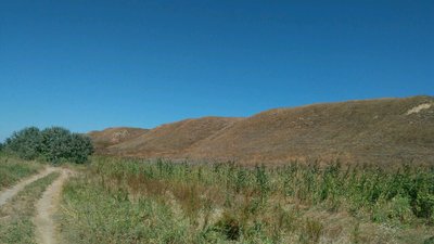 IMG_2016-09-01_120658.jpg