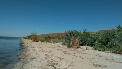 IMG_2016-09-01_122846.jpg