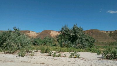 IMG_2016-09-01_122850.jpg