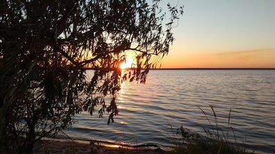 IMG_2016-09-01_192400 1500x.jpg