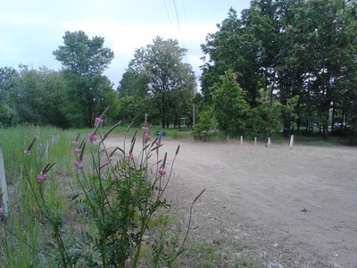 IMG_20160525_154722.jpg
