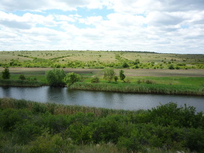 P1010216.JPG