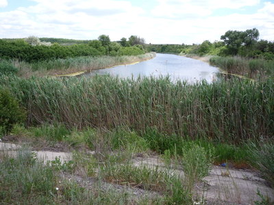 P1010217.JPG