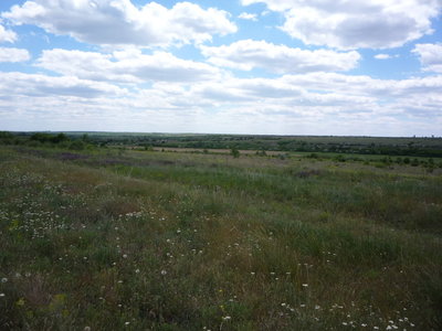 P1010218.JPG