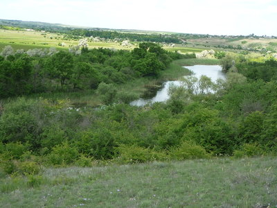 P1010219.JPG
