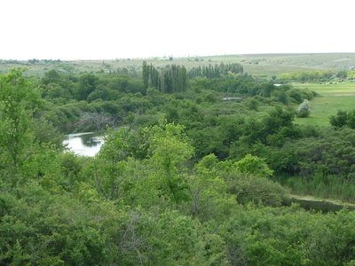 P1010220.JPG