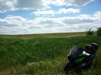 P1010221.JPG