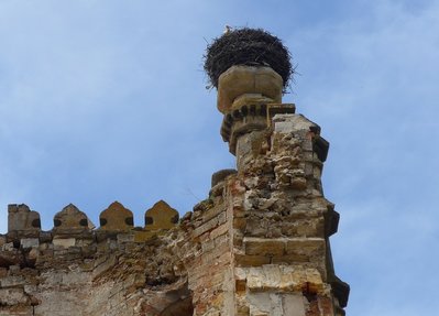 P1020315.JPG