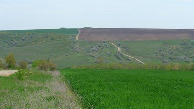 P1020336.JPG