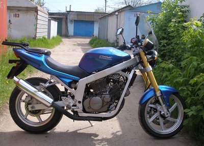 P3.jpg
