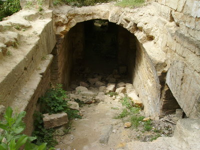 PICT0250.JPG