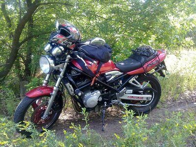gsf250.jpg