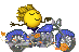 :autumn